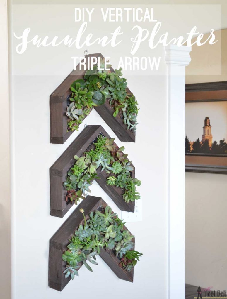 Have a narrow wall to fill? Add a unique vertical succulent planter in a 3 arrow shape with lots of cool texture and color.