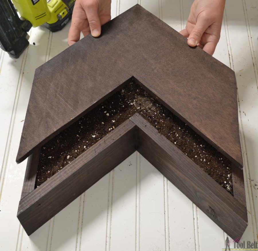 Need to fill a narrow wall? Add a unique vertical succulent planter in a 3 arrow shape with lots of cool texture and color.